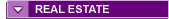 Michigan real estate realtors and agents
