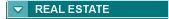 Ohio real estate realtors and agents