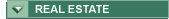 South Carolina real estate realtors and agents