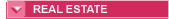 virginia real estate realtors and agents